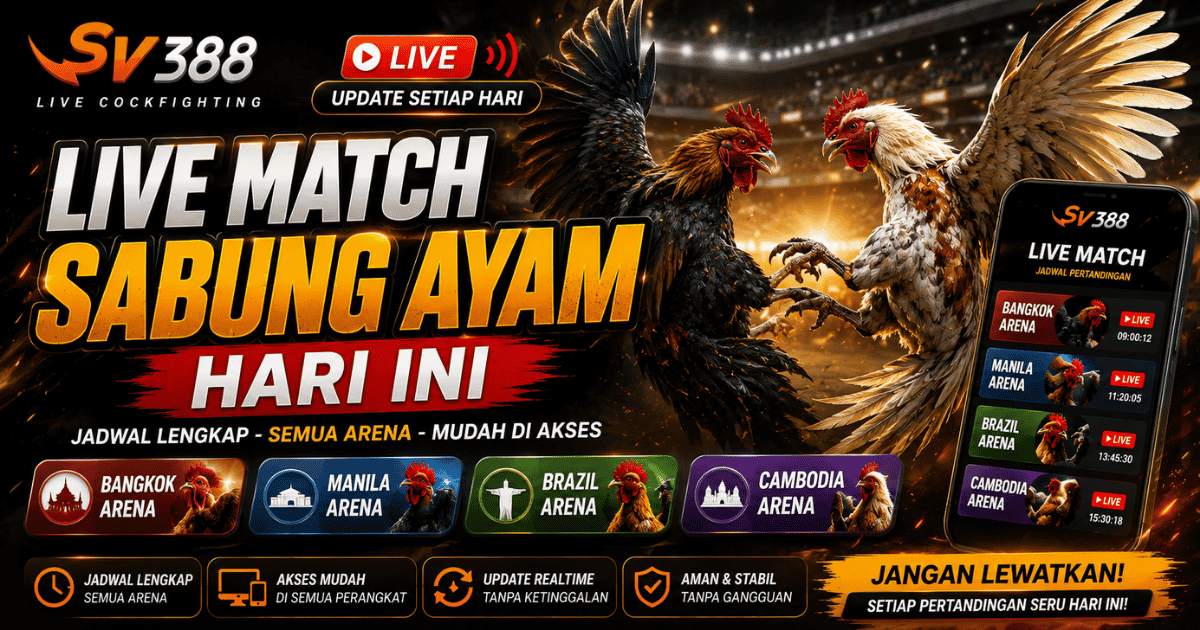 Live Match Sabung Ayam Hari Ini